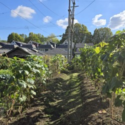 Photo 2 at 872 Union Street, False Creek Flats (Strathcona), Vancouver East Photo 2 at 872 Union Street, False Creek Flats (Strathcona), Vancouver East