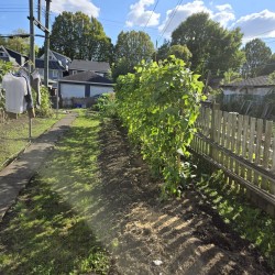Photo 3 at 872 Union Street, False Creek Flats (Strathcona), Vancouver East Photo 3 at 872 Union Street, False Creek Flats (Strathcona), Vancouver East