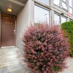 Photo 3 at 917 Station Street, False Creek Flats (Strathcona), Vancouver East Photo 3 at 917 Station Street, False Creek Flats (Strathcona), Vancouver East