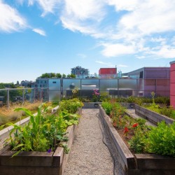 Photo 37 at 354 - 250 E 6 Avenue, False Creek Flats (Mount Pleasant VE), Vancouver East Photo 37 at 354 - 250 E 6 Avenue, False Creek Flats (Mount Pleasant VE), Vancouver East