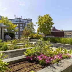 Photo 25 at 507 - 2321 Scotia Street, False Creek Flats (Mount Pleasant VE), Vancouver East Photo 25 at 507 - 2321 Scotia Street, False Creek Flats (Mount Pleasant VE), Vancouver East